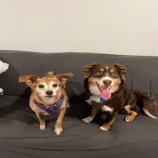 img_5202.jpeg