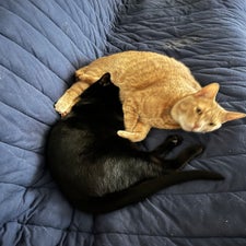 img_5697.jpeg