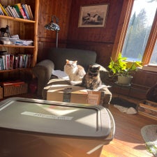 img_5286.jpeg
