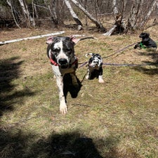 img_6118.jpeg