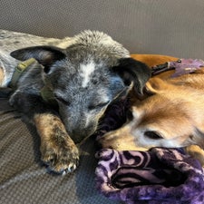 img_4736.jpeg