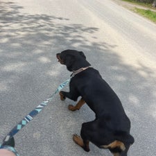 img_6609.jpeg