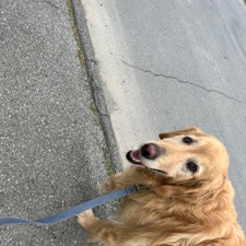 img_6653.jpeg
