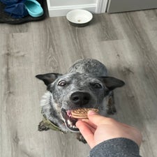 img_6682.jpeg
