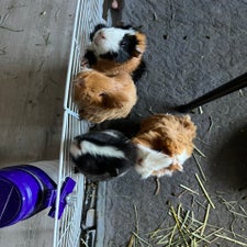 img_6327.jpeg