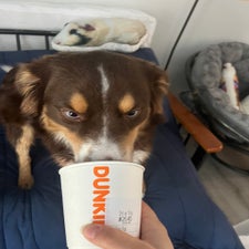 img_5562.jpeg