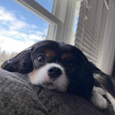 img_4290.jpeg