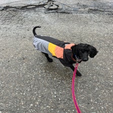 img_5508.jpeg