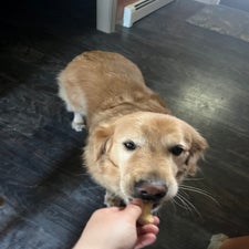 img_6302.jpeg
