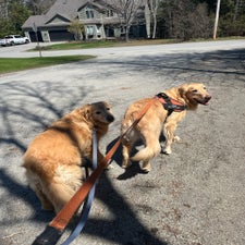 img_6298.jpeg