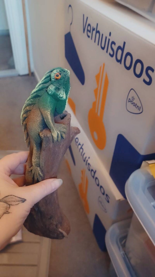 Inguana reptiel beeld