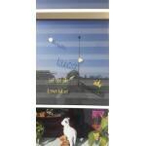 ACTIE (k)raambezoek sticker