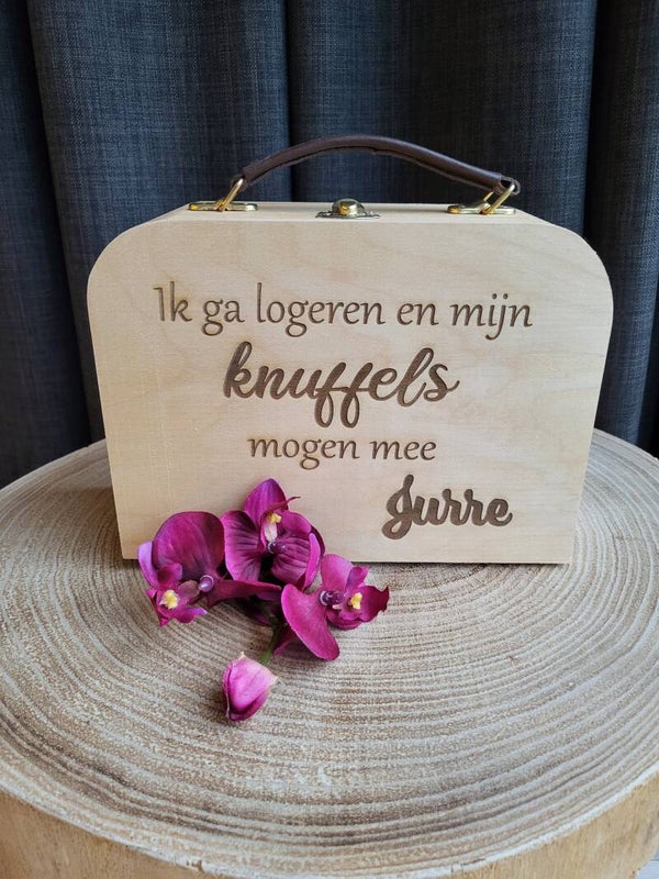 Koffertje met leren handvat en sluiting