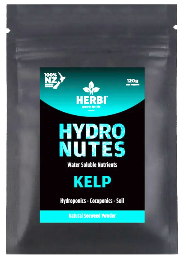 Herbi | Kelp