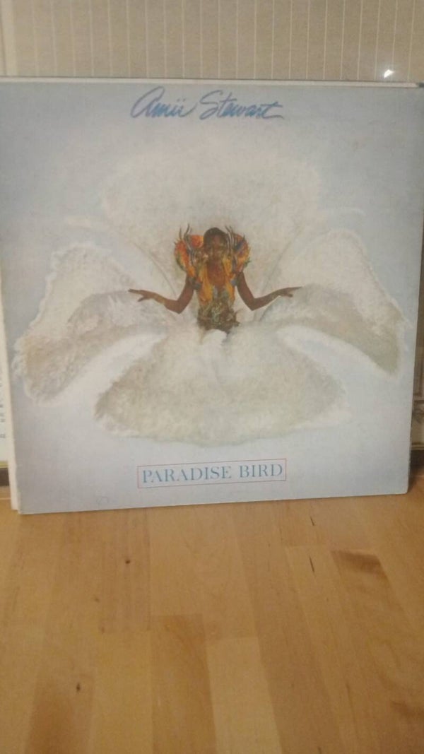 Vinile
