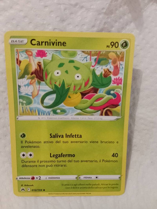 Carte pokemon
