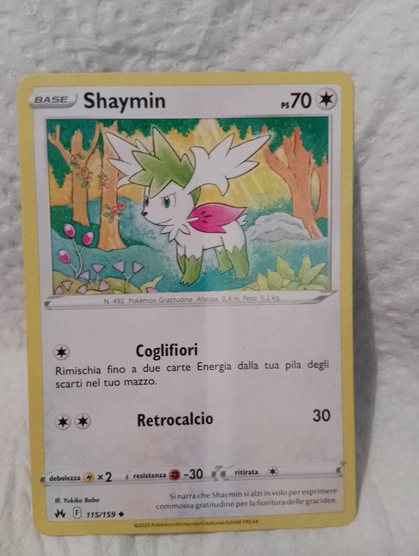 Carte pokemon