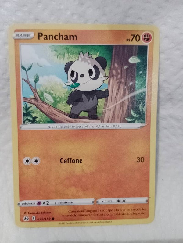 Carte pokemon