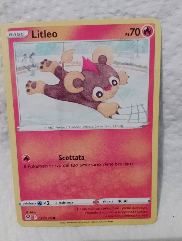 Carte pokemon