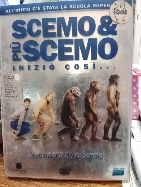 DVD per tutti