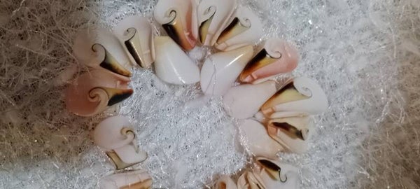 Bracciale con conchiglie