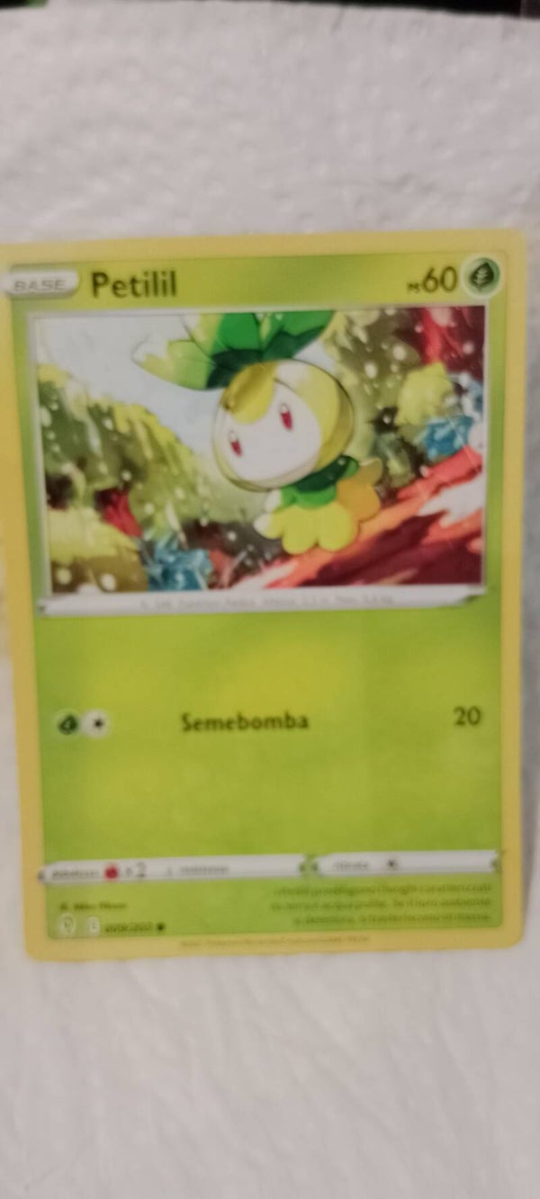 Carte pokemon