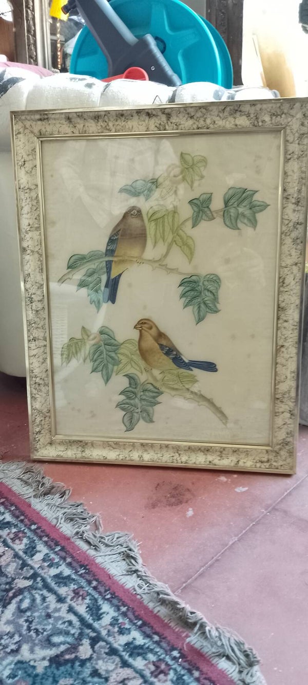 Quadro