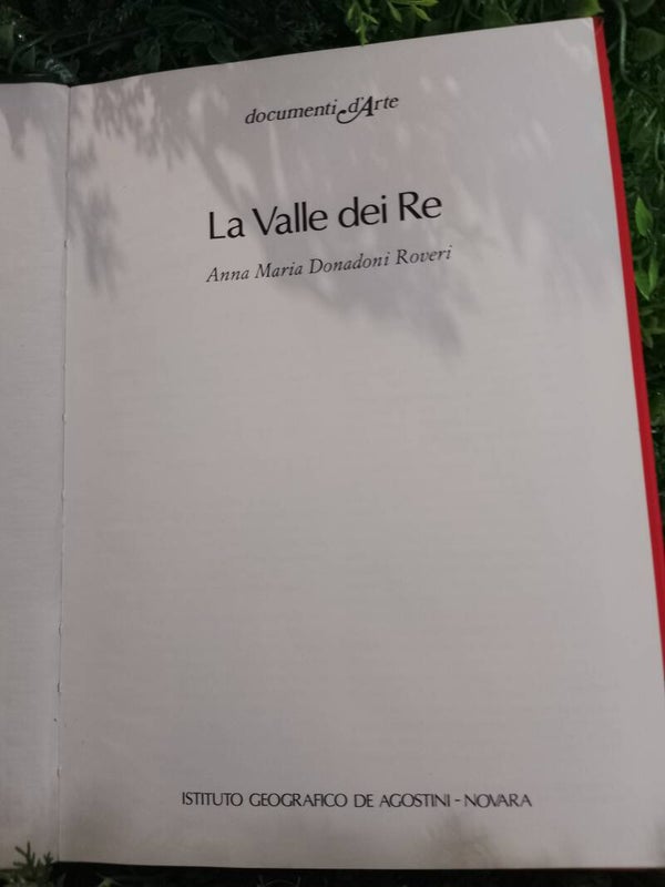 Libro storia egizia