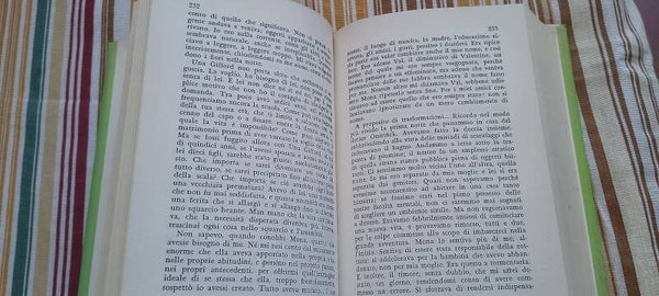 Libro romanzo