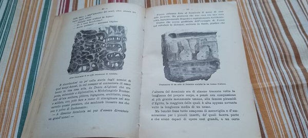 Libro vintage