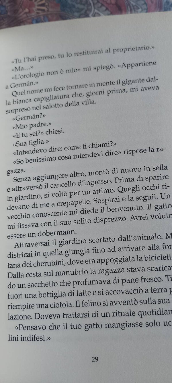 Libro romanzo
