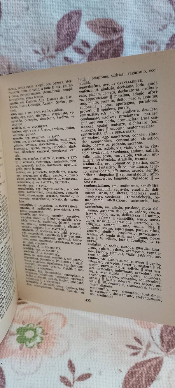 Dizionario