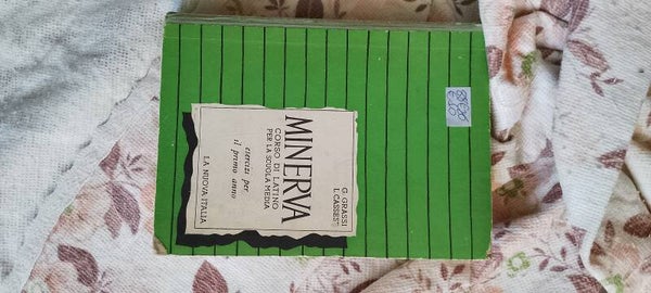 Libro: dizionario di latino
