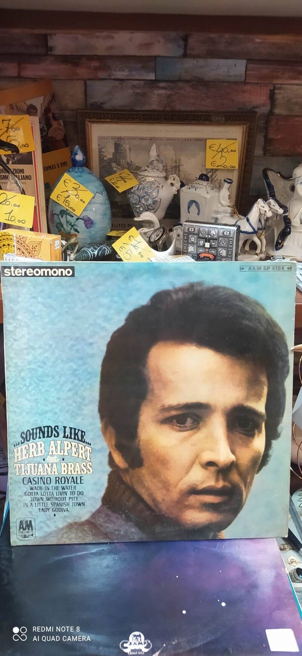 Vinile