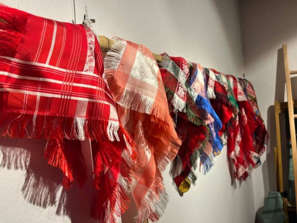 Divers foulards adultes pour le costume Evolénard