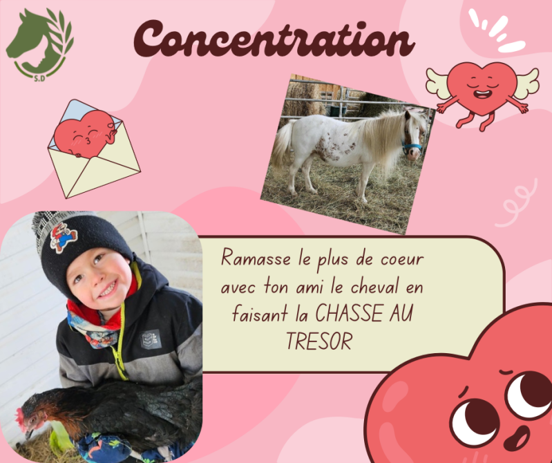 Quoi de mieux qu'un magnifique cheval pour nous aider à se concentrer. 