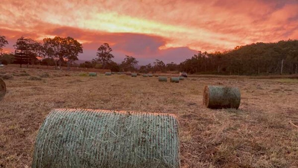 40x hay for Rob Peg