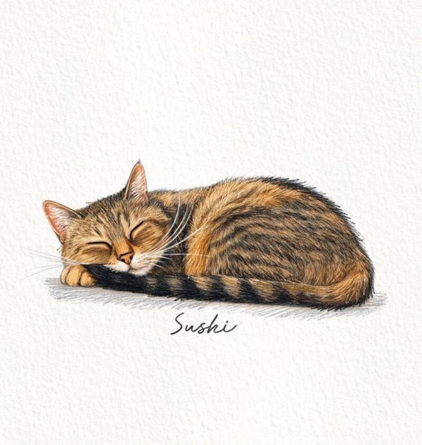 Petit paw A6 - portrait