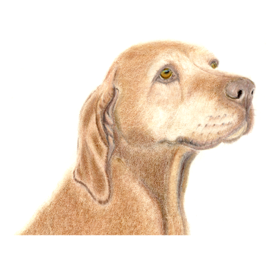 scherm-afbeelding-2024-10-18-om-13-40-32-standard.png