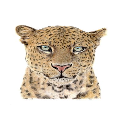scherm-afbeelding-2025-03-01-om-10-11-08-standard.png