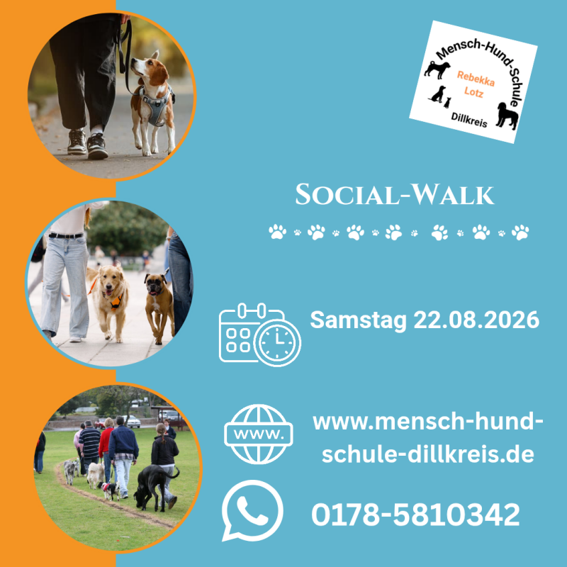 Anmeldung Social-Walk, angeleinter  Trainingsspaziergang in Dillenburg, Haiger, Herborn und Umgebung. Mensch-Hund-Schule Dillkreis, Rebekka Lotz mobile Hundetrainerin, zertifiziert nach Tierärztekammer Niedersachsen