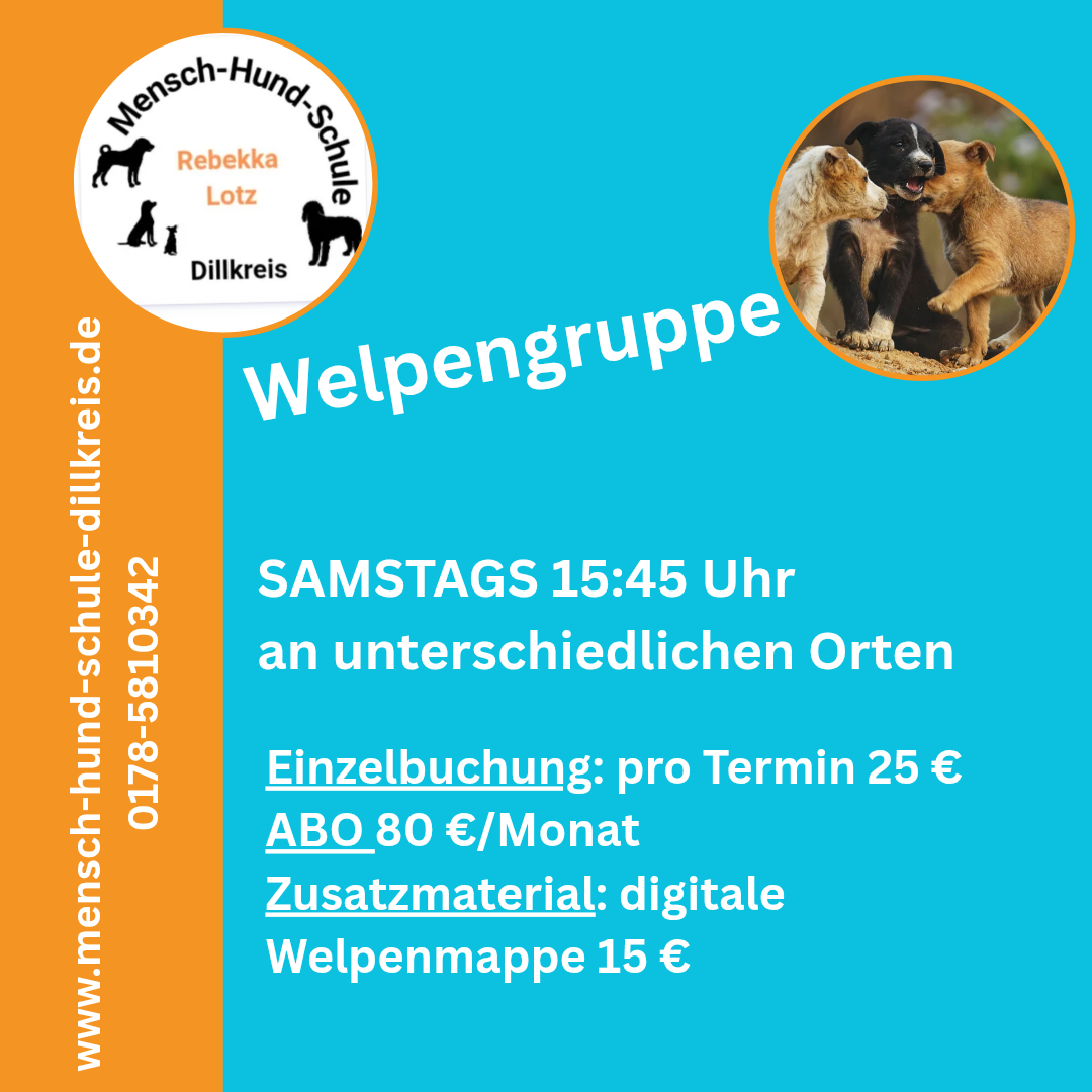 Welpengruppe in Dillenburg, Herborn und Haiger mit zertifizierter Hundeschule Rebekka Lotz von der Mensch-Hund-Schule Dillkreis.