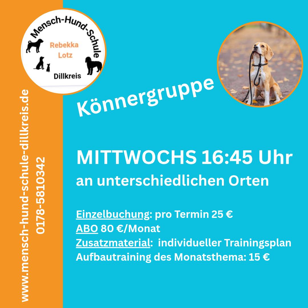 Anmeldung Könnergruppe  Mensch-Hund-Schule Dillkreis,, Stadttraining, Alltagstraining,  Vorbereitung Hundeführerschein,