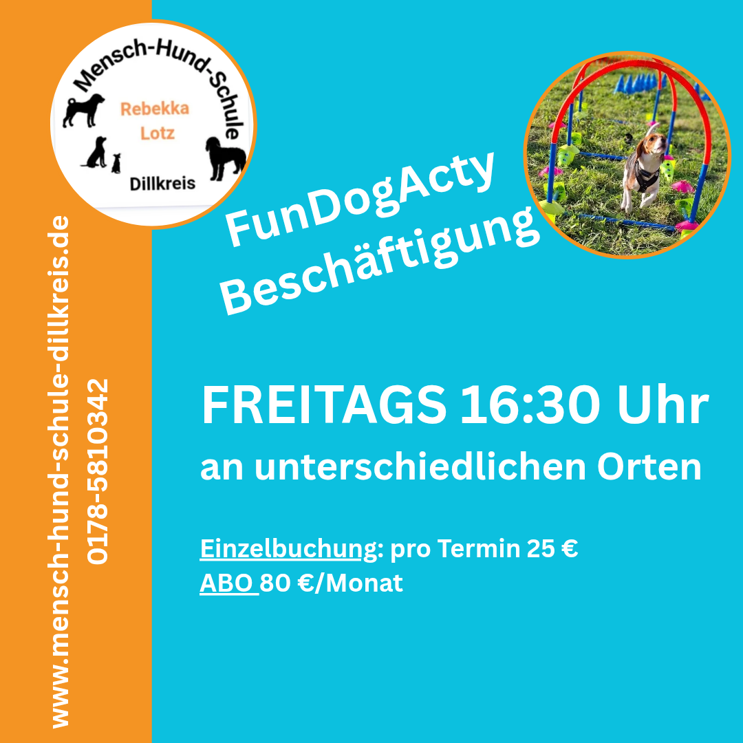 Anmeldung Beschäftigung, Mensch-Hund-Schule Dillkreis, Qualitätszeit mit Hund in Dillenburg , Haiger , Herborn und Umgebung, Zirkeltraining, Longieren, Apportieren, Cavaletti, Agility, Schnüffelspaß, bunte Mischung