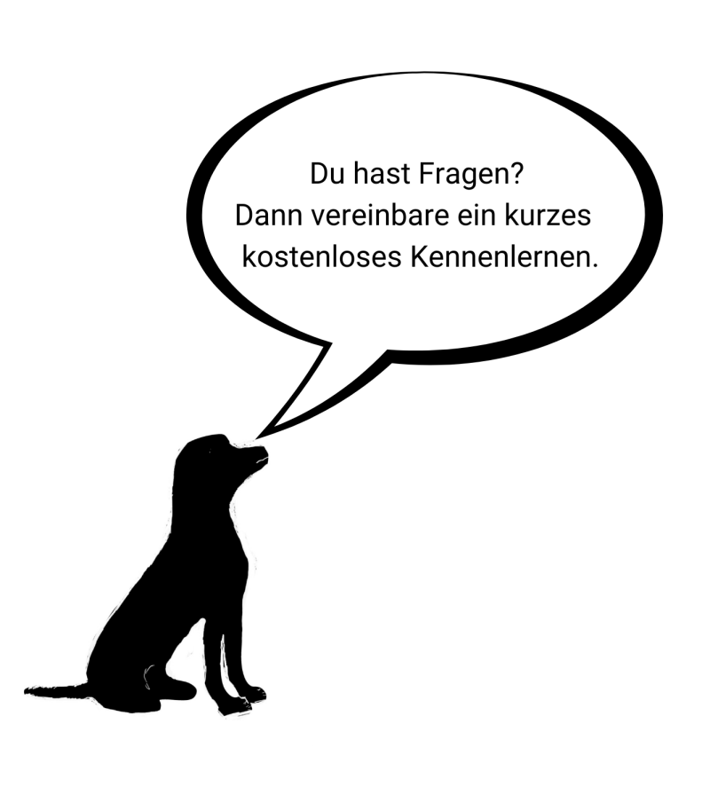 Hund aus Tierschutz Tierheim, Angsthund, ängstlicher Hund, unsicherer Hund, aggressiver Hund, Hund bellt viel, Hund fährt   nicht Auto, Hilfe, Hundetraining Zuhause, Hund macht in die Wohnung