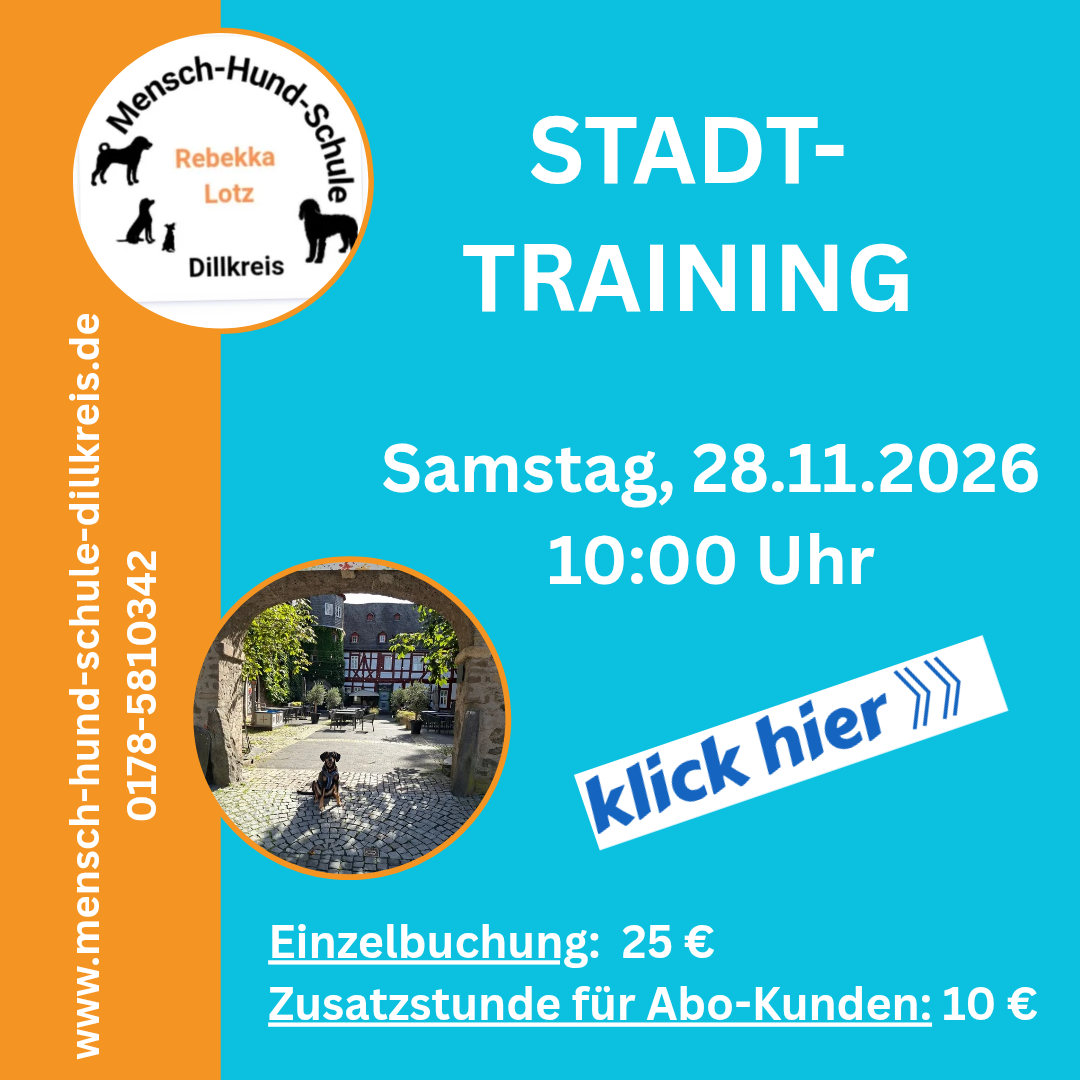Stadttrainining mit Hunden in Dillenburg, Herborn und Haiger mit zertifizierter Hundeschule Rebekka Lotz von der Mensch-Hund-Schule Dillkreis.