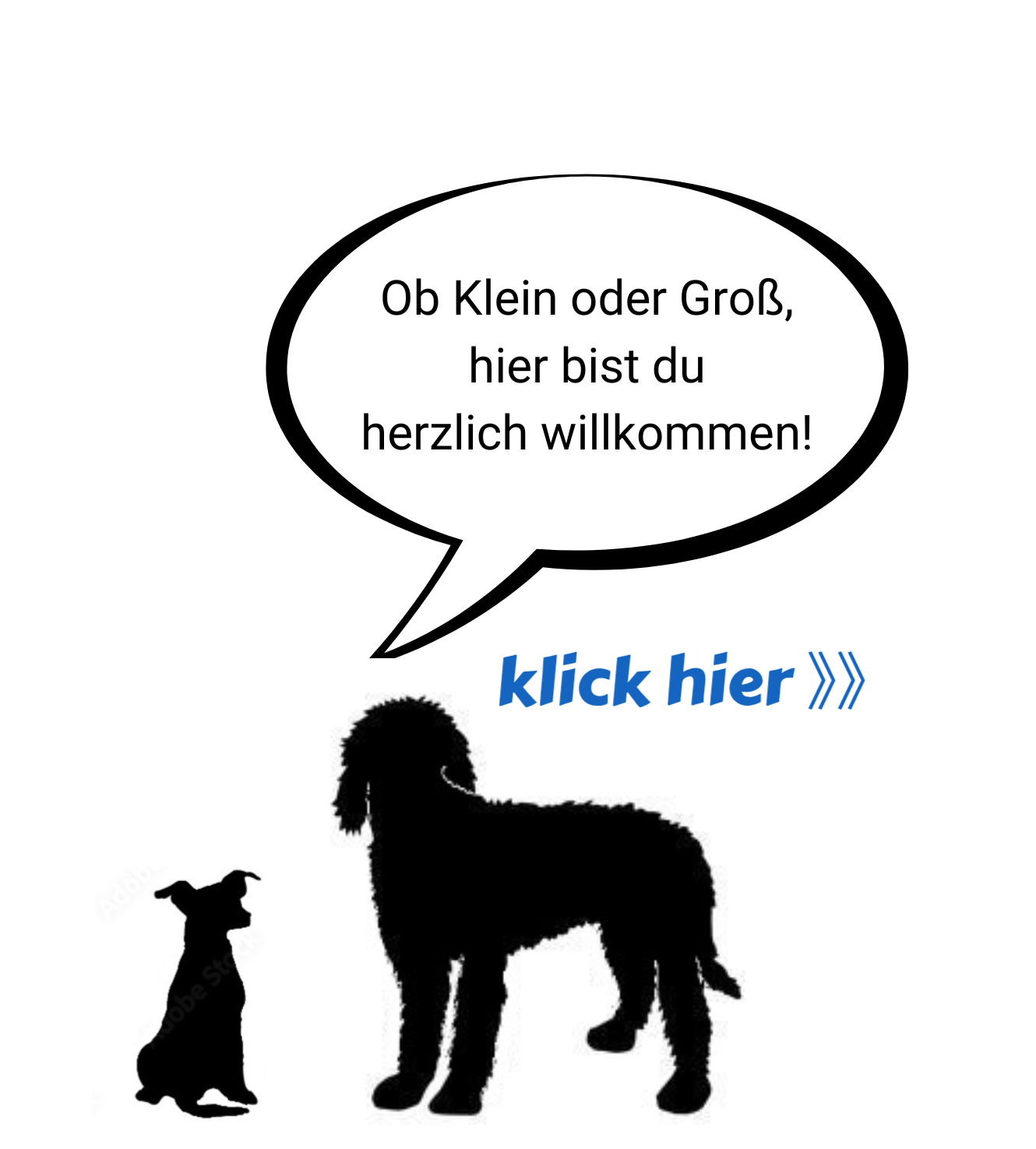 Hundeschule in Dillenburg bietet Welpentraining auch in Herborn und Haiger. Junghunde und Tierschutzhunde finden in der Basisgruppe zusammen, Beschäftigung lastet deinen Hund aus und lässt euch mit Freude zum festen Team zusammenwachsen. Melde dich gerne 