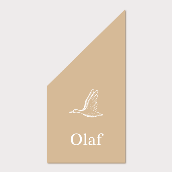 Kiosk geboortevlag gans