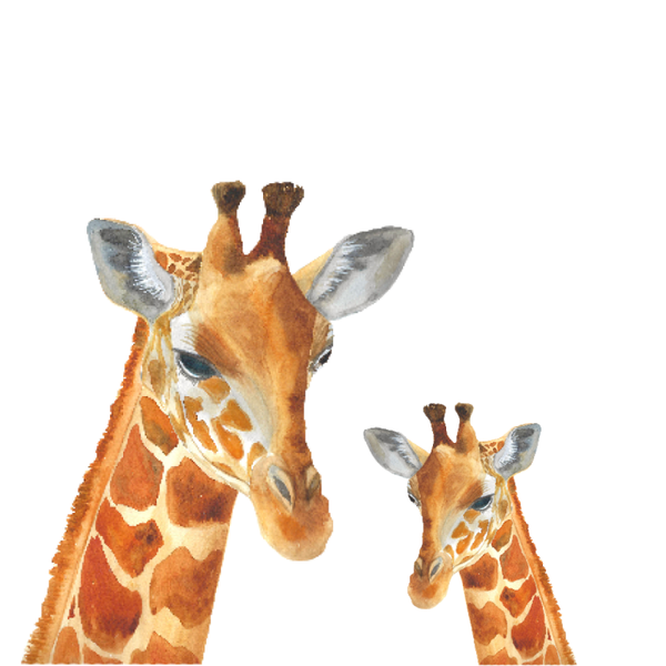 Muursticker set giraffen hoofden