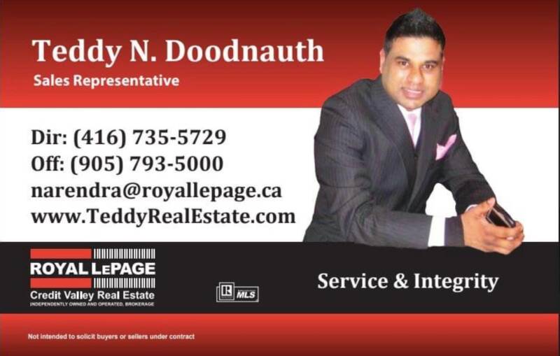 teddy-standard.jpg